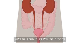 אורוסטומי, הסרת שלפוחית השתן והשופכה